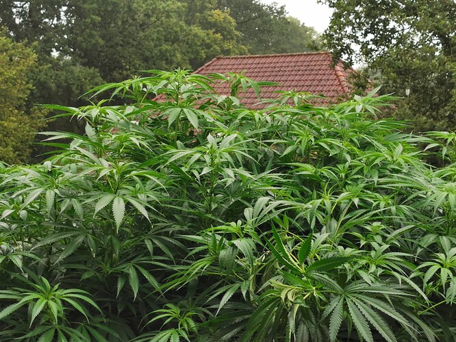 Growreport Bild 14