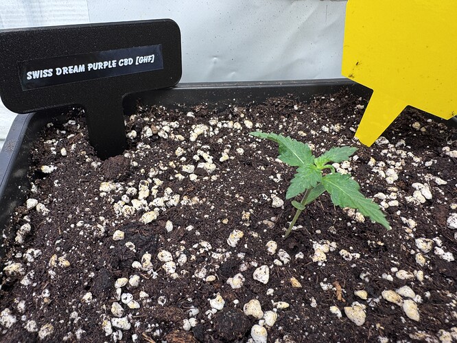 Growreport Bild 17