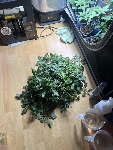 Growreport Bild 5
