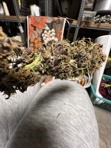 Growreport Bild 3