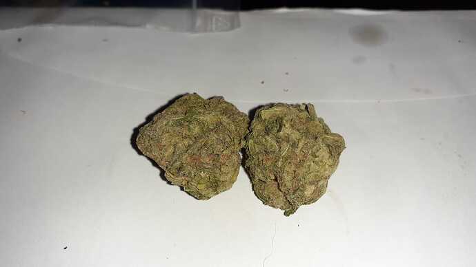 e65b0756-06e5-4a9e-afbb-38a379b2fea0