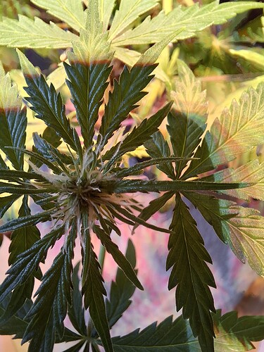 Growreport Bild 3