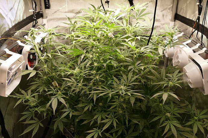 Growreport Bild 5
