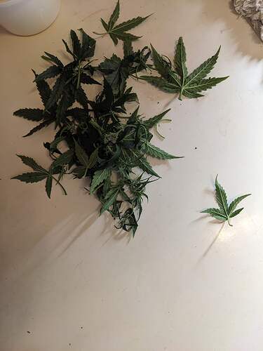 PXL_20240519_225644774