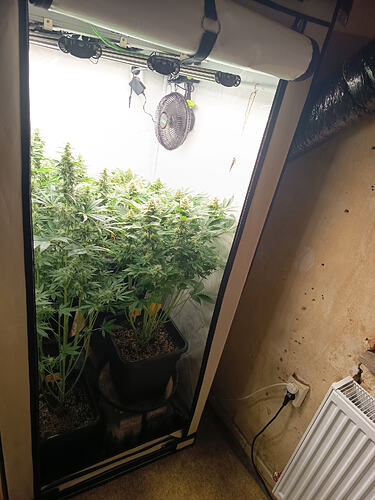 Growreport Bild 24