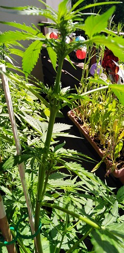Growreport Bild 10