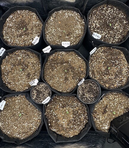 Growreport Bild 21