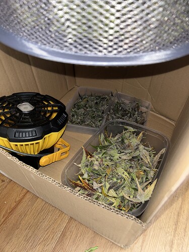 Growreport Bild 6
