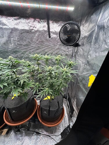 Growreport Bild 16