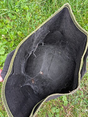 PXL_20250614_165731451