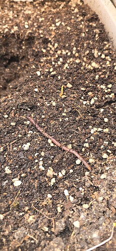 Growreport Bild 15