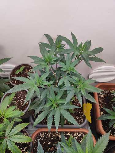 WhatsApp Image 2024-05-25 at 20.03.44 (2)