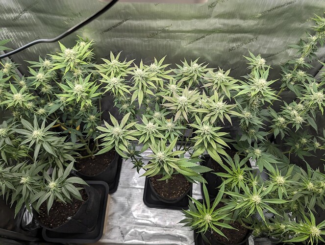 PXL_20240505_204556376