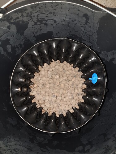 Growreport Bild 2