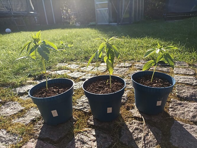 WhatsApp Bild 2025-04-28 um 07.56.57_22fa3adc