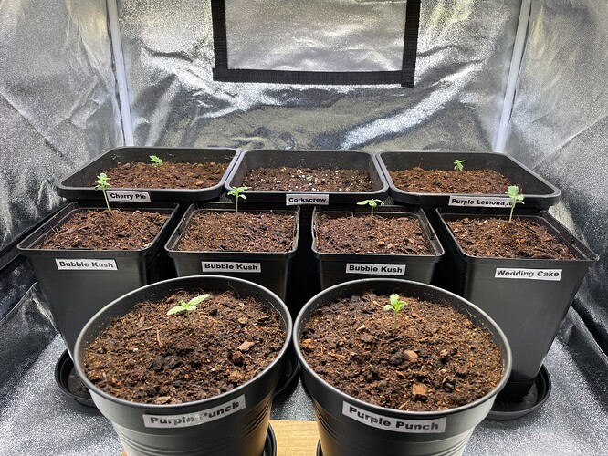 Growreport Bild 21