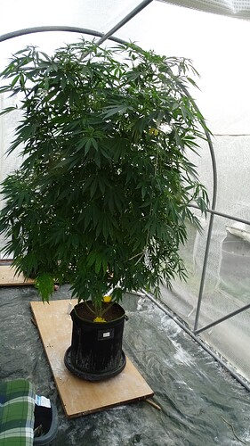 Growreport Bild 8