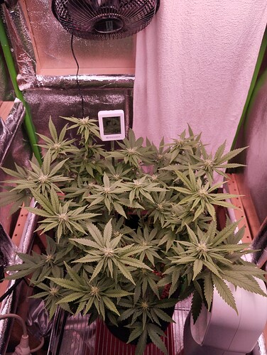 Growreport Bild 11