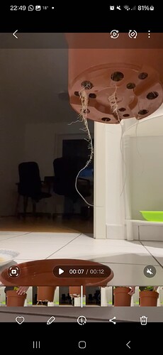 Screenshot_20240604_224903_Gallery