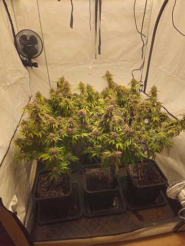 Growreport Bild 8