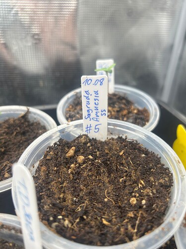 Growreport Bild 28