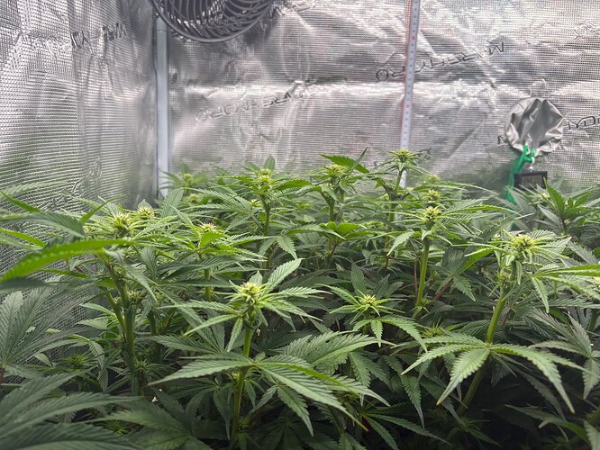 Foto 03.01.26, 06 40 01