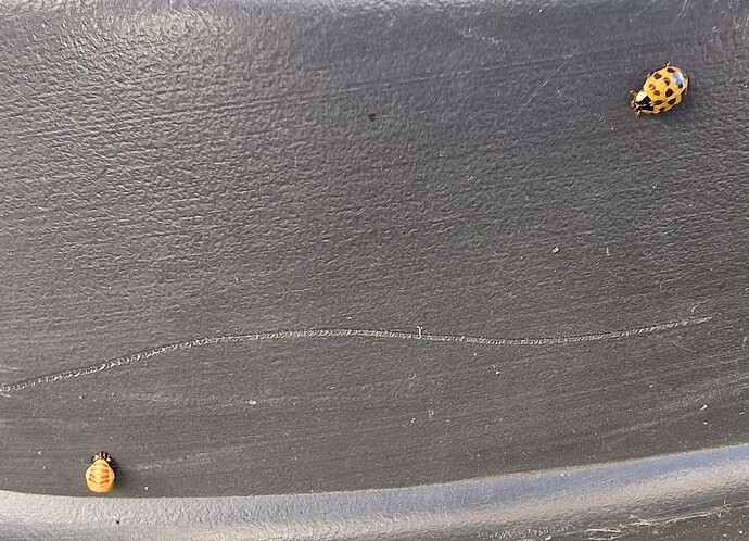 Growreport Bild 8