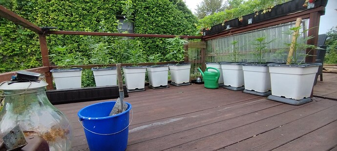 Growreport Bild 6