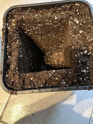 Growreport Bild 5