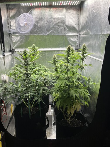 Growreport Bild 5
