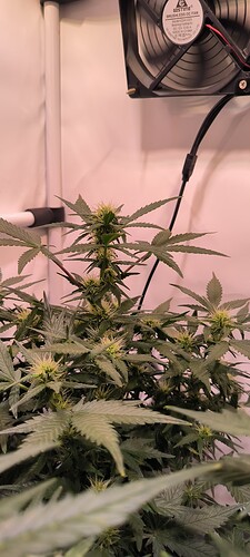 Growreport Bild 11