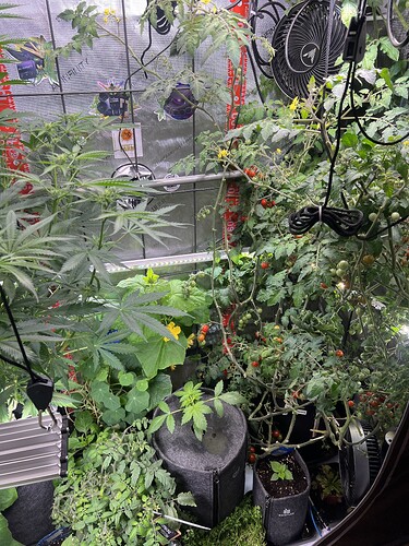 Growreport Bild 16