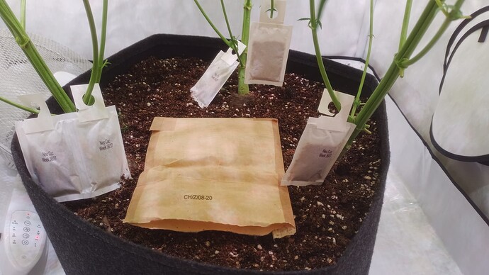 IMG_20240904_094458_939