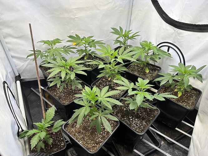 Growreport Bild 18