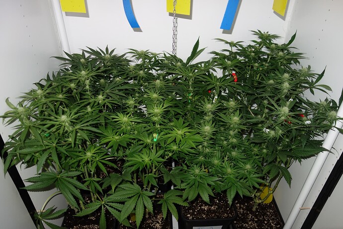 Growreport Bild 11