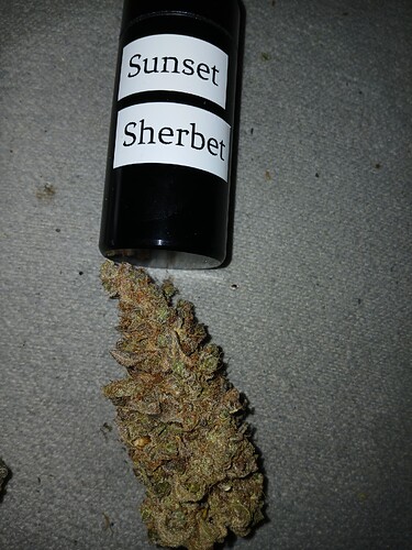 Growreport Bild 30