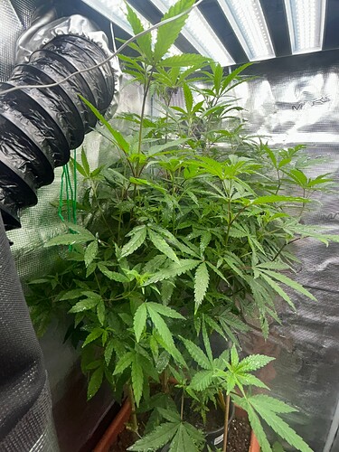 Growreport Bild 48