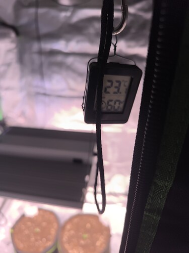 Growreport Bild 42