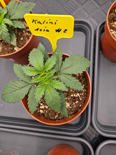 Growreport Bild 22