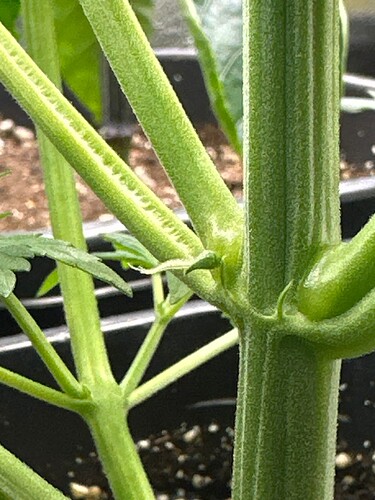 Growreport Bild 8