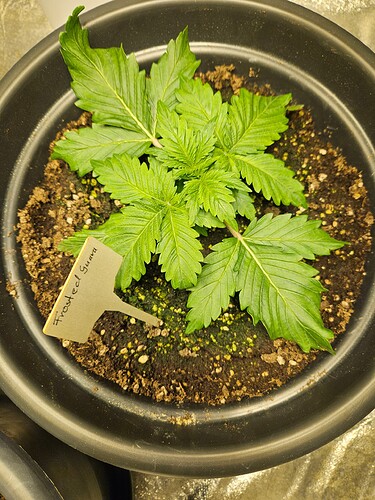 Growreport Bild 6