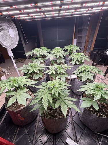 Growreport Bild 9