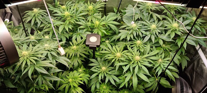 Growreport Bild 22