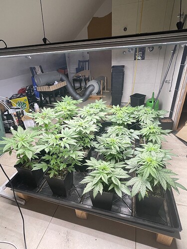 Growreport Bild 2