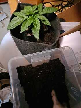 Growreport Bild 1