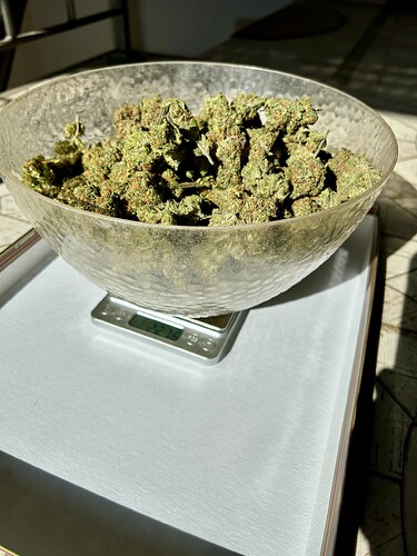 Growreport Bild 3