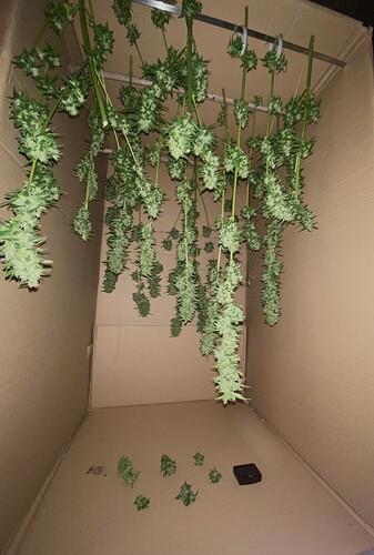 Growreport Bild 5