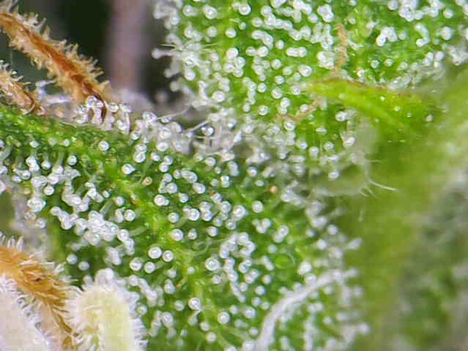 Photo_2024-06-14 10_00_48_632