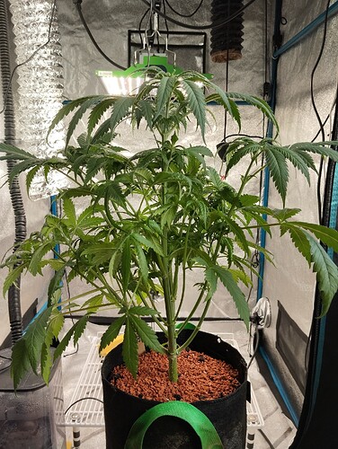 Growreport Bild 3