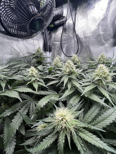 Growreport Bild 9
